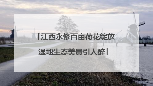 江西永修百亩荷花绽放 湿地生态美景引人醉